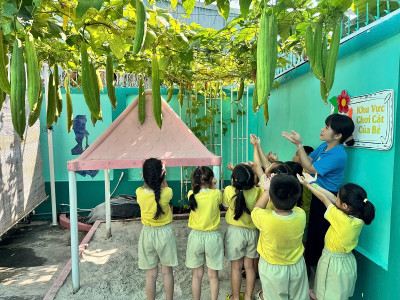 VƯỜN MƯỚP TRƯỜNG EM
