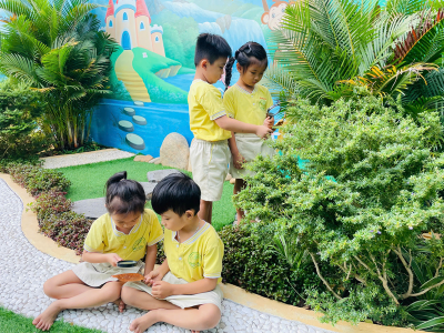 Bé biết gì về những chiếc lá?