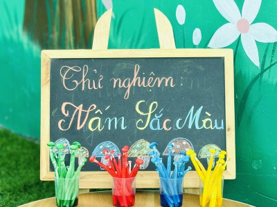 THỬ NGHIỆM “NẤM SẮC MÀU” – KHÁM PHÁ KHOA HỌC QUA NHỮNG GIỌT MÀU