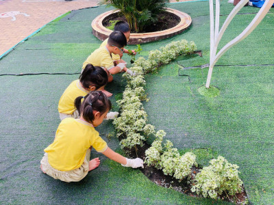 🌱🧹 HOẠT ĐỘNG VỆ SINH MÔI TRƯỜNG