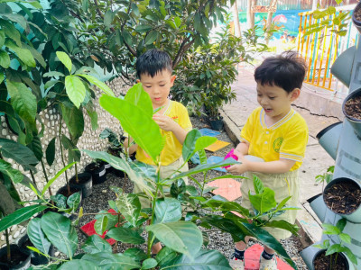 🌱 Hoạt động tưới cây - Bé chung tay bảo vệ môi trường 🌱