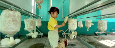 NHỮNG CHIẾC Ô XINH TRONG VƯỜN TUỔI XANH