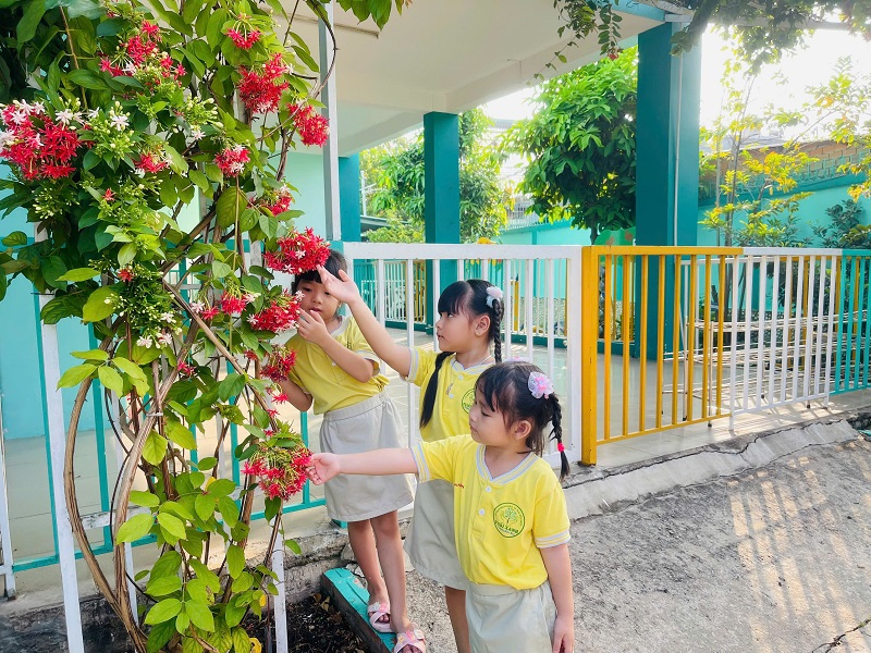 HOẠT ĐỘNG NGOÀI TRỜI