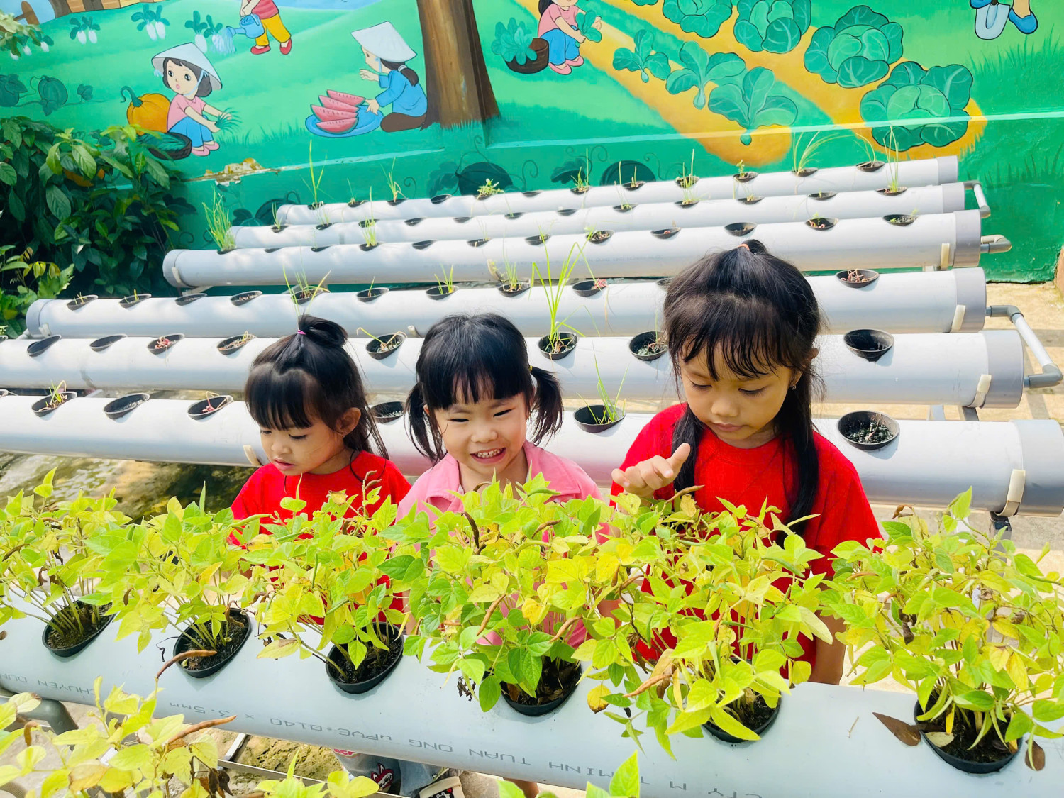🌿 Buổi học trải nghiệm siêu "đã" của các bé! 🤩
