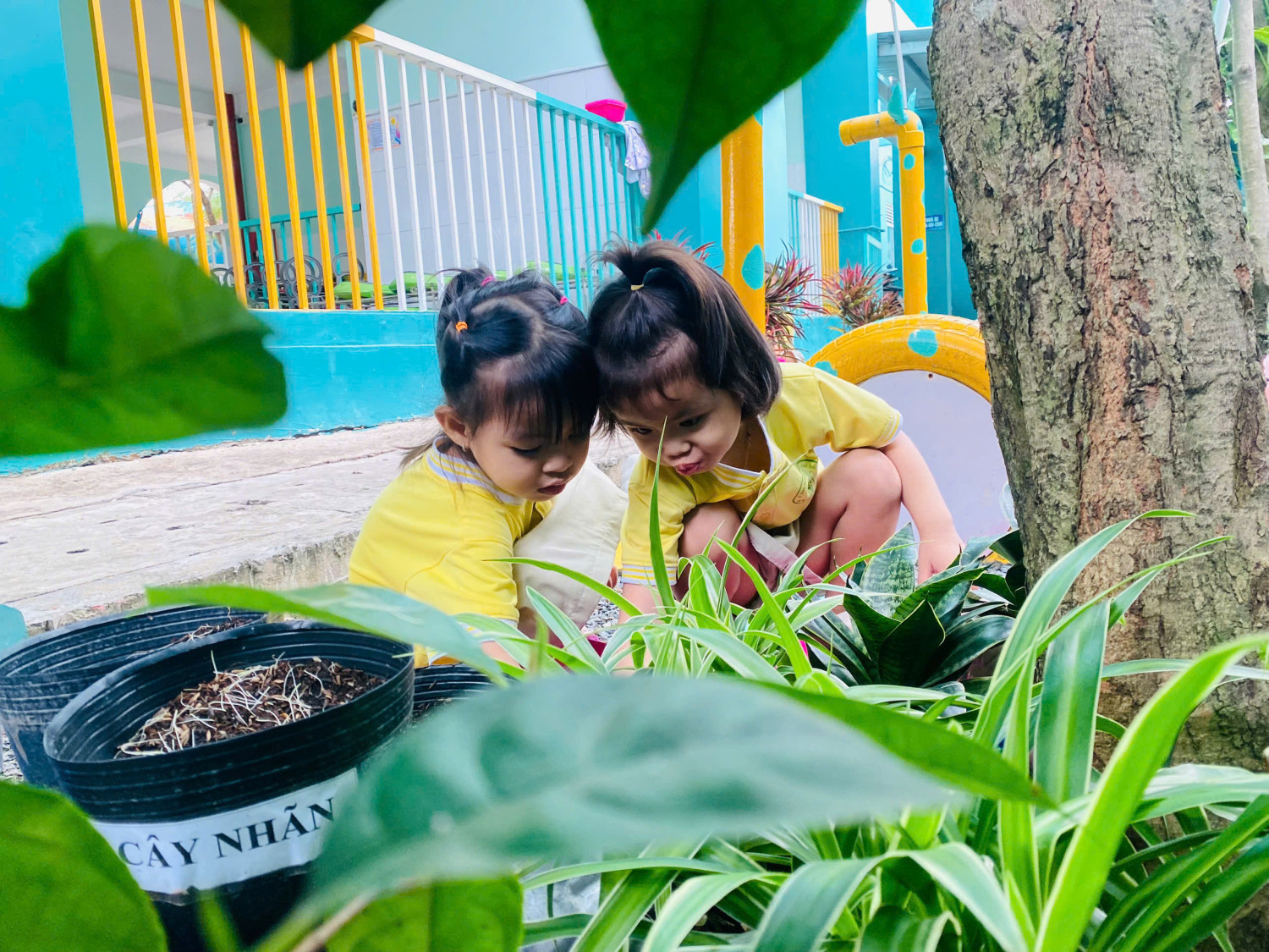 Những bàn tay nhỏ- Việc làm to