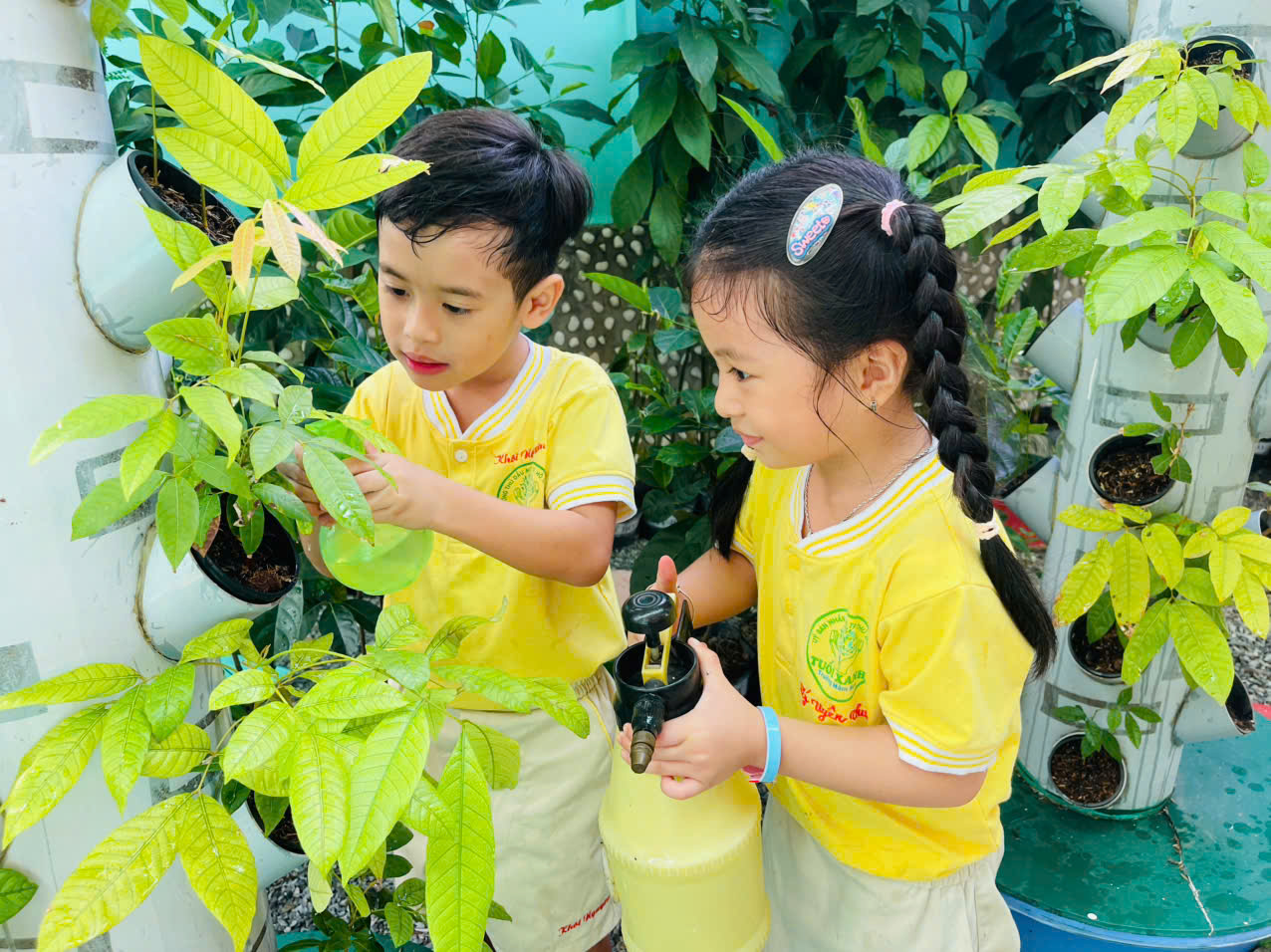 z7413773273818 ae3c8a502638dd8184e4a085e357ec0c