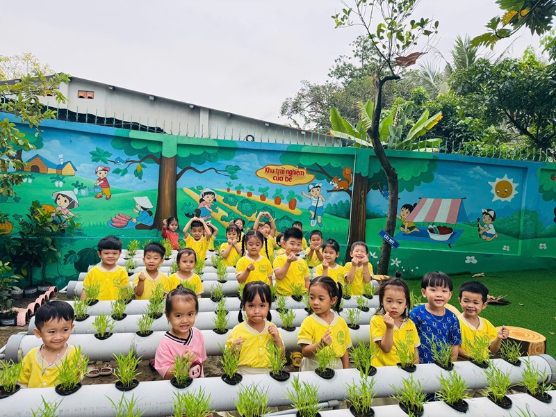 HOẠT ĐỘNG KHÁM PHÁ VƯỜN RAU THỦY CANH CÂY RAU MUỐNG – LỚP CHỒI 4