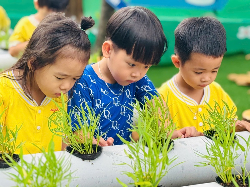 z7418141852470 50e24143ef4c1ce315c4712035558b93