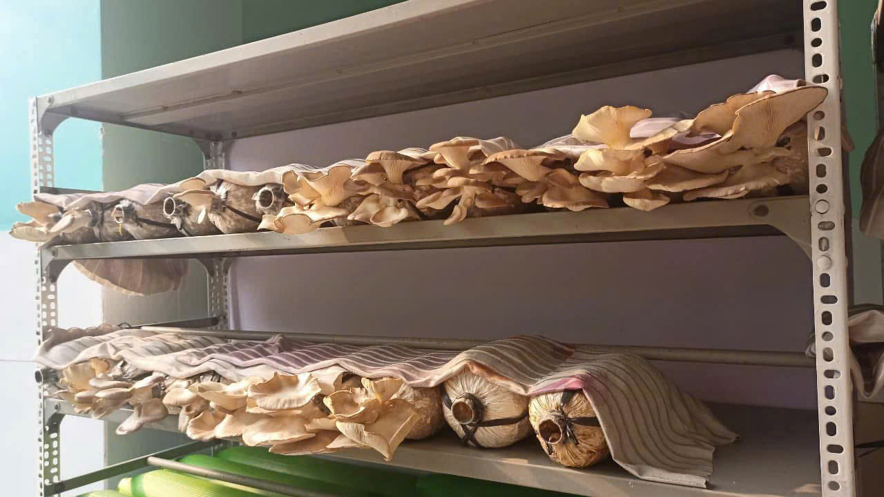 z7479351834044 5c55425456d768cde8885ba5bcaa5794