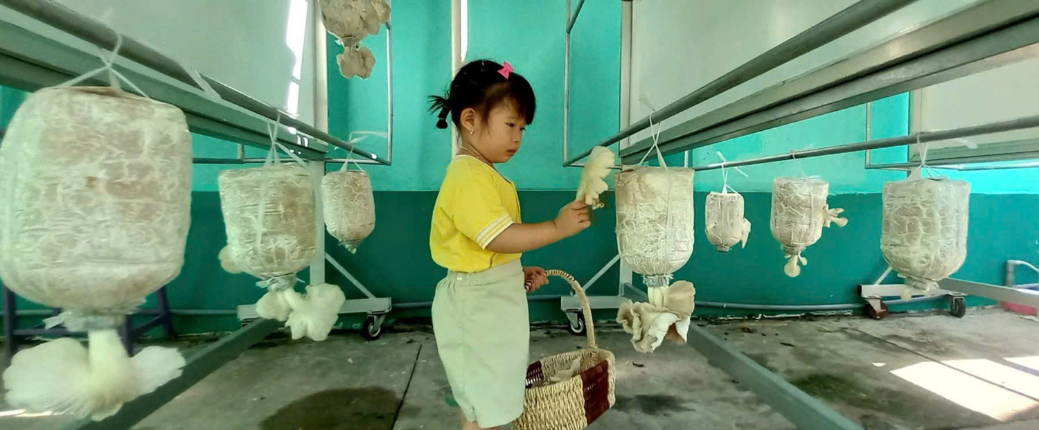 NHỮNG CHIẾC Ô XINH TRONG VƯỜN TUỔI XANH