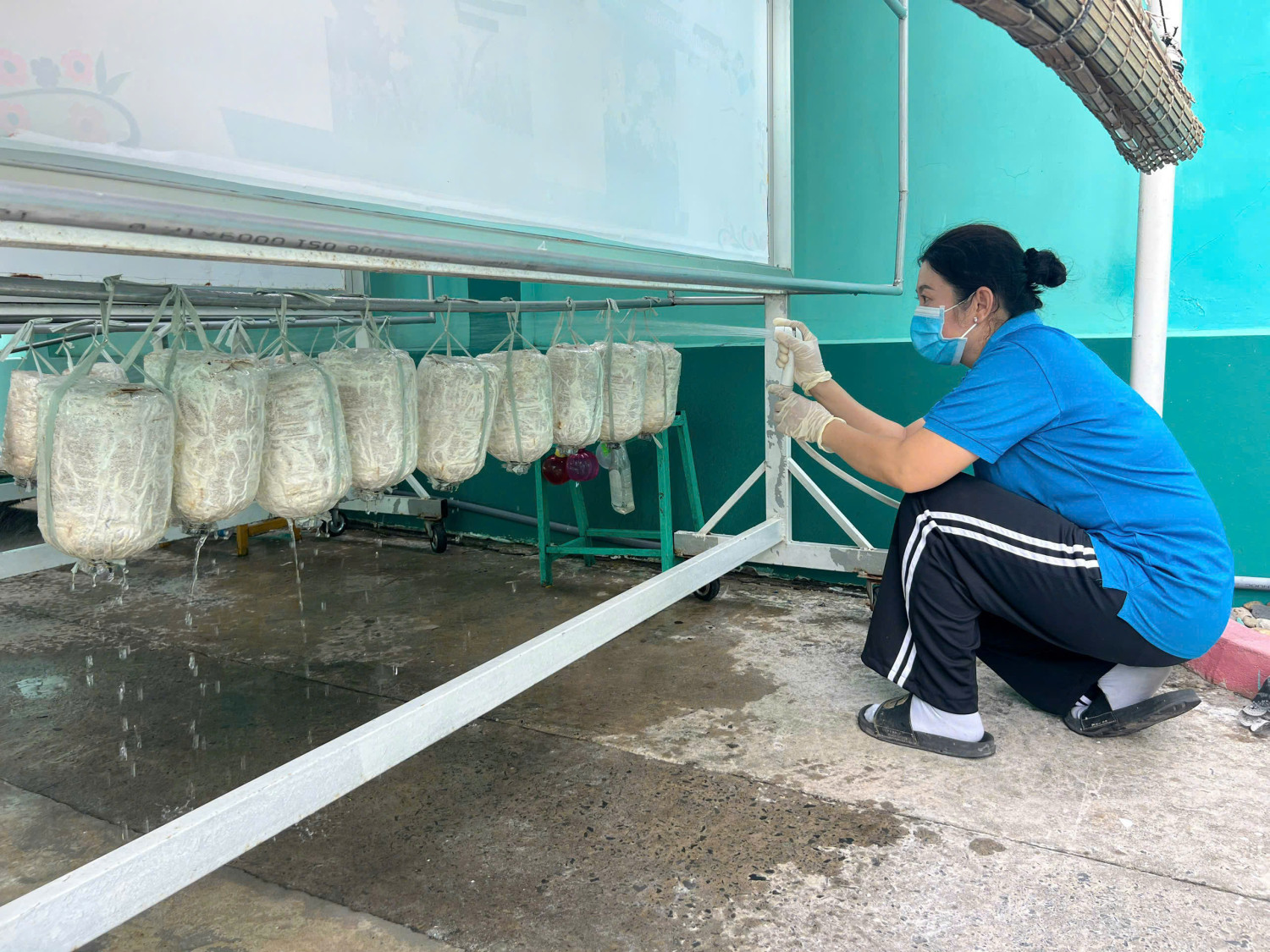 z7479351910956 96004a1b3cd75aea23188cb791a7c70f