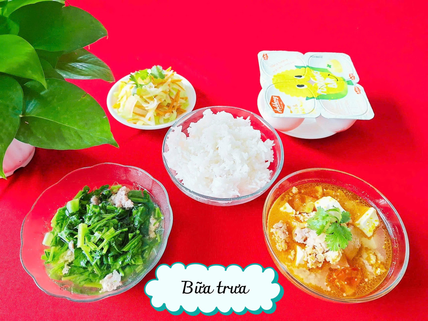 🍽️ MỘT NGÀY ĂN UỐNG CỦA BÉ TẠI TRƯỜNG MẦM NON TUỔI XANH 🌿